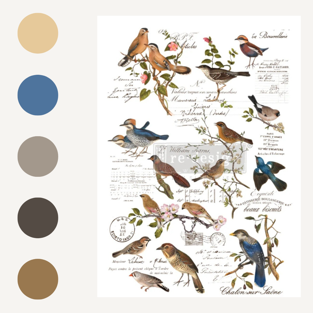 DECOR TRANSFER® - POSTAL BIRDS