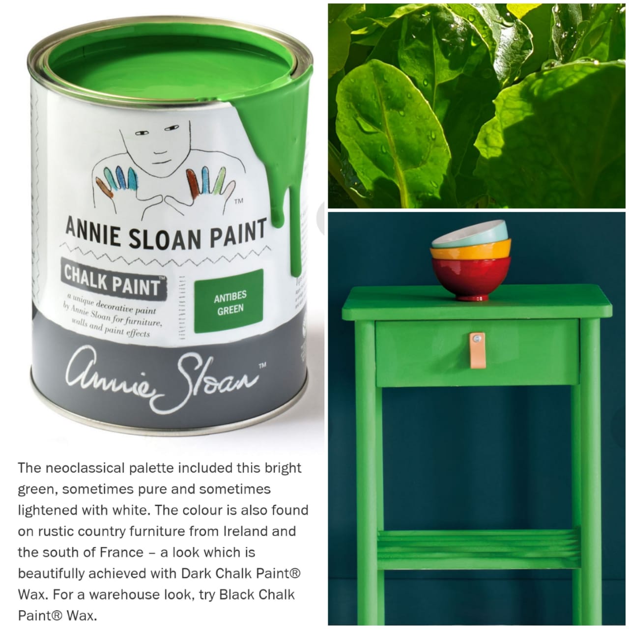 ANNIE SLOAN CHALK PAINT®️ ANTIBES GREEN