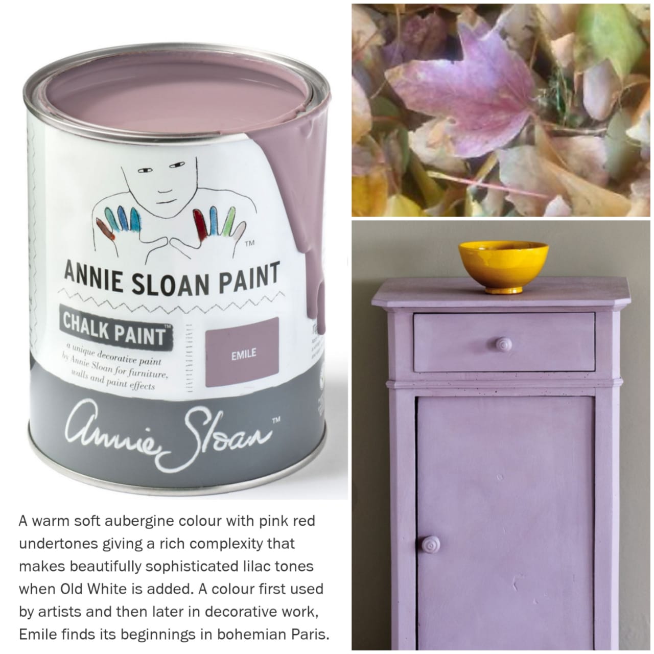 ANNIE SLOAN CHALK PAINT®️ EMILE