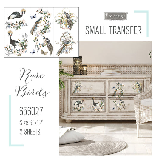 SMALL DECOR TRANSFER® - RARE BIRDS